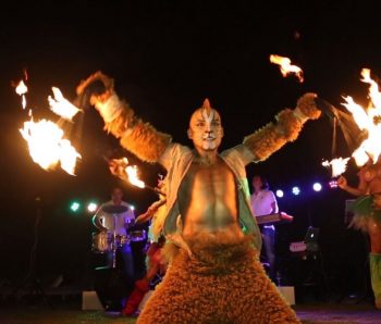 performance animal y fuegos