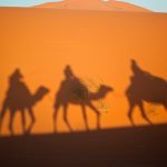 Camellos decorativos y Carroza Fantasía para los Reyes Magos