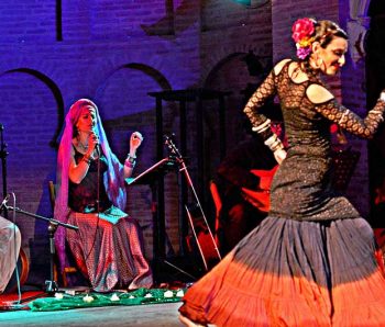 Bailaora de flamenco y cantante