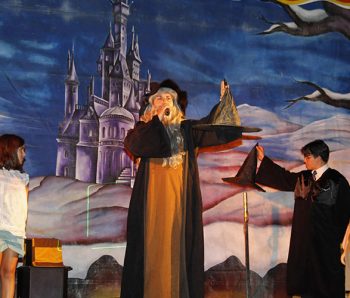 LAS AVENTURAS DE HARRY POTTER