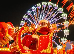 NAVILAND FERIA NAVIDAD