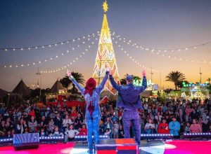 NAVILAND FERIA NAVIDAD